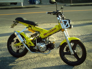 ブランドのギフト SACHS ザックス マダス50 グランドセール SACHS