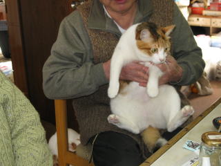 OуlŔ@~[B@ƃfuŊÂȐiB@