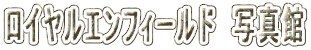CGtB[h@ʐ^