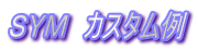 ＳＹＭ　カスタム例